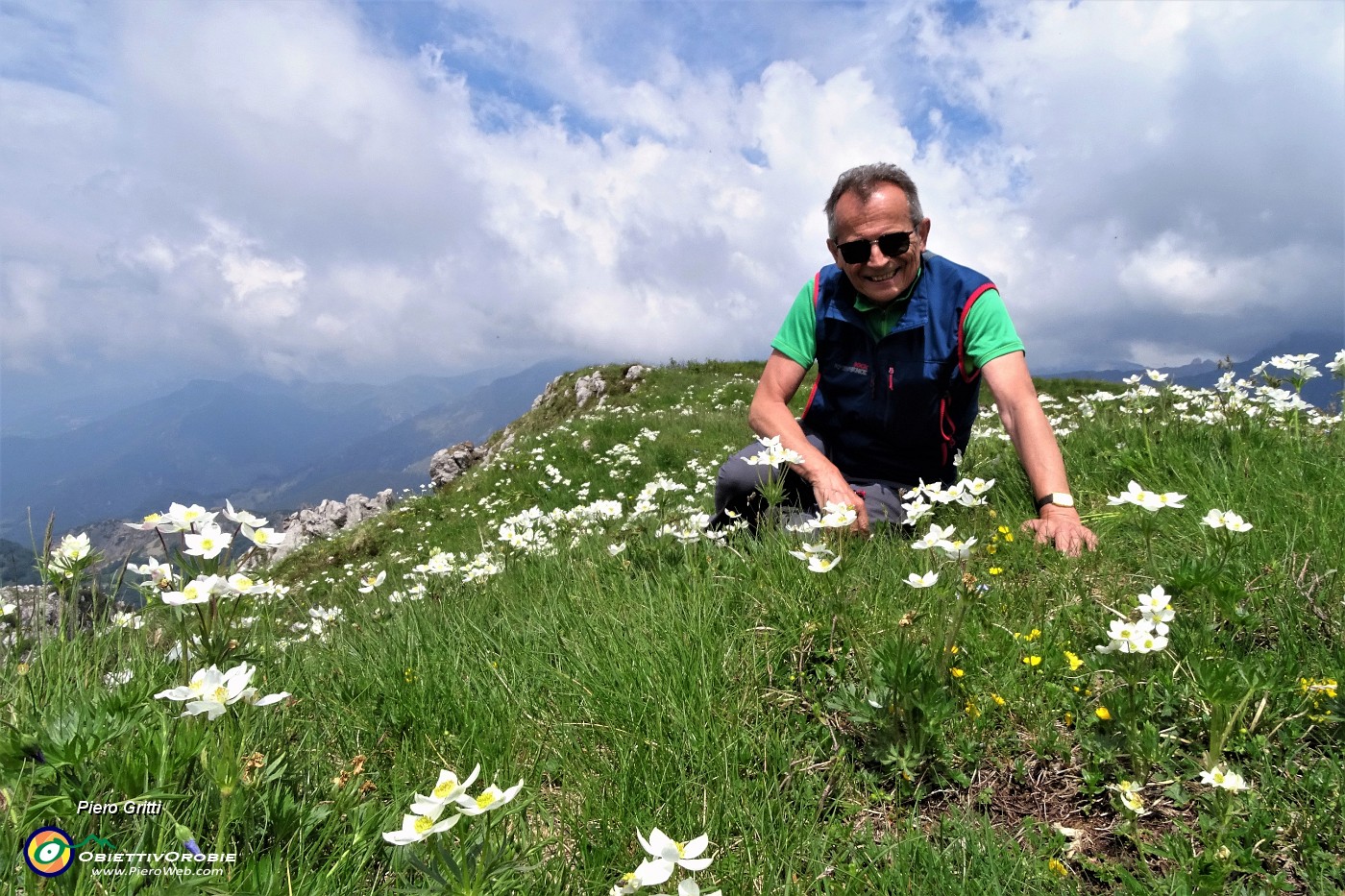 05 Distese di anemone narcissino in cresta di vetta Corna Grande.JPG